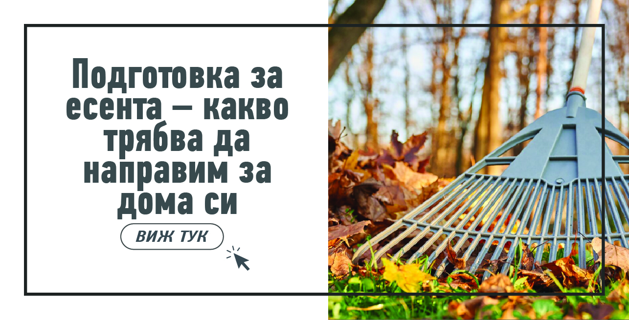 Статия - Как да съберем и съхраняваме зеленчуците от градината?