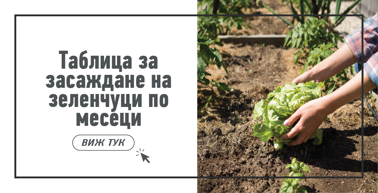 Статия - Подходящи тапети за спалня