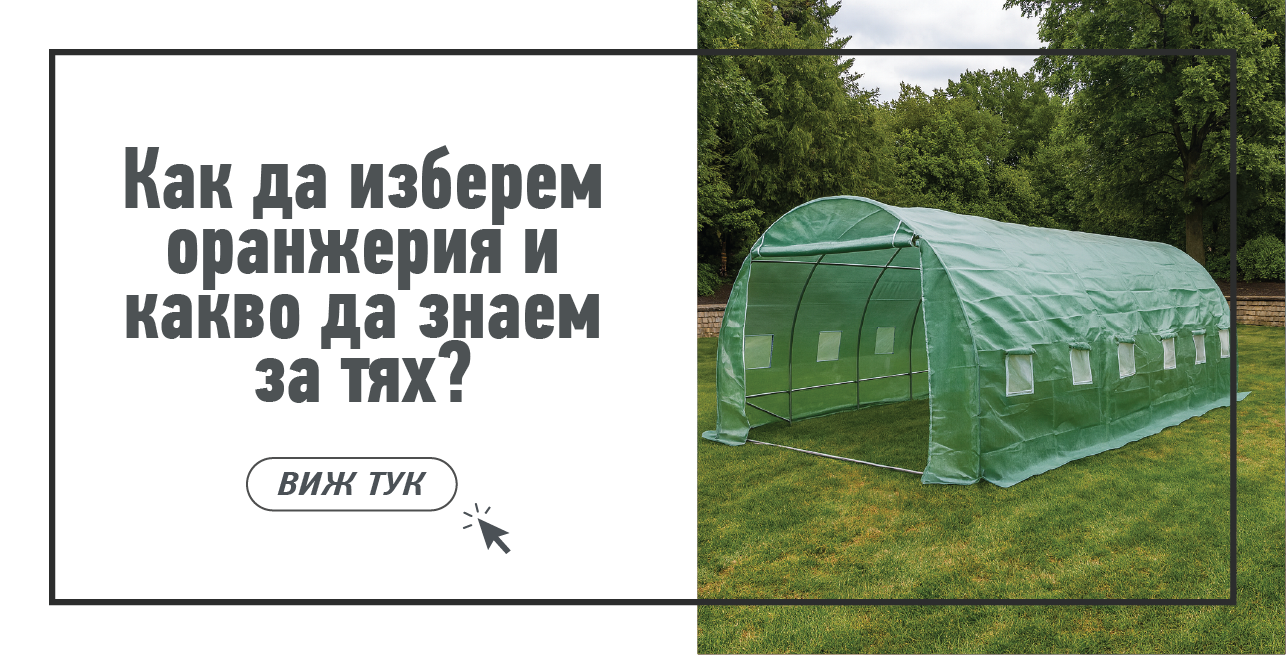 Статия - Как да съберем и съхраняваме зеленчуците от градината?