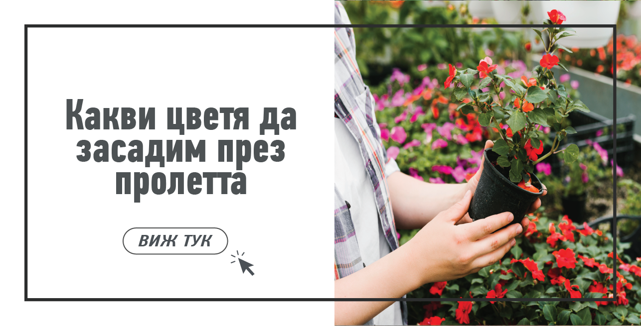 Статия - Как да съберем и съхраняваме зеленчуците от градината?