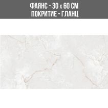 ФАЯНС ASEL WHITE 30/60 GLOSSY GLOSSY