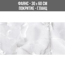 ФАЯНС ADEN LIGHT GREY 30/60 GLOSSY