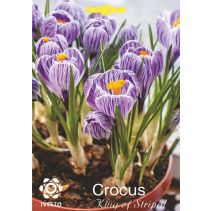 ЛУКОВИЦИ МИНЗУХАР 3014 KING/STRIPED 3БР