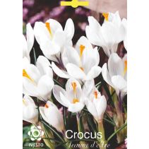 ЛУКОВИЦИ МИНЗУХАР 3015 JEANNE D'ARC 3БР