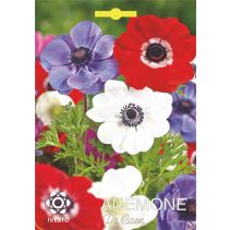 ЛУКОВИЦИ АНЕМОНЕ 3023 CORONARIA DE 5БР