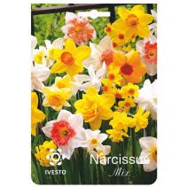 ЛУКОВИЦИ НАРЦИС 3012 MIXED 3БР