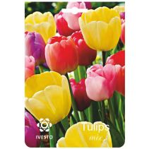 ЛУКОВИЦИ ЛАЛЕ 3032 MIXED 3БР