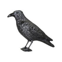 ЗАЩИТА ОТ ПТИЦИ ГАРВАН