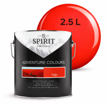 БОЯ ИНТЕРИОРНА SPIRIT PANJIN 2.5Л
