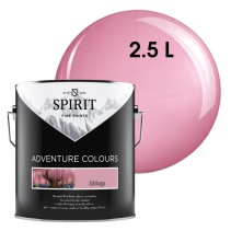 БОЯ ИНТЕРИОРНА SPIRIT ASHIKAGA 2.5Л