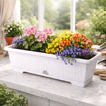 САНДЪЧЕ РЕБРО 50СМ БЯЛО