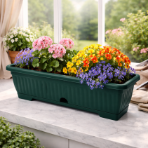 САНДЪЧЕ РЕБРО 50СМ ТЪМ.ЗЕЛЕНО