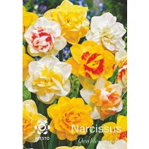 ЛУКОВИЦИ НАРЦИС 3128 DOUBLE MIXED 2БР