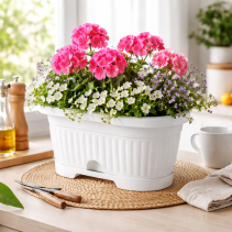 САНДЪЧЕ РЕБРО ОВАЛ 30 СМ БЯЛО