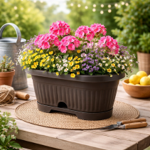 САНДЪЧЕ РЕБРО ОВАЛ 30 СМ Т.КАФЯВО