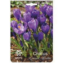 ЛУКОВИЦИ МИНЗУХАР 3017 GRAND MAITRE 3БР.