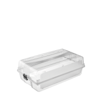 КУТИЯ ДАМСКИ ОБУВКИ KOD507