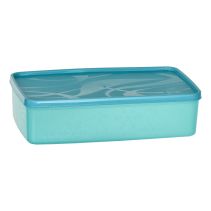 КУТИЯ ЗА ФРИЗЕР ALASKA ПЛИТКА 2,1Л SA980 - Temax.bg КУТИЯ ЗА ФРИЗЕР ALASKA ПЛИТКА 2,1Л SA980