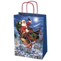 ЧНГ ТОРБИЧКА КОД N3 XL 31Х39Х12