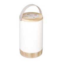 ЛАМПА НАСТ ПРЕНОСИМА RGB+MUSIC ENTAC