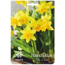 ЛУКОВИЦИ НАРЦИС 3141 TETE A TETE 3БР
