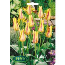 ЛУКОВИЦИ ЛАЛЕ 3043 MONA LISA 3БР