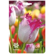 ЛУКОВИЦИ ЛАЛЕ 3145 EYELASH 2БР