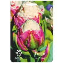 ЛУКОВИЦИ ЛАЛЕ 3146 ICE CREAM 2БР