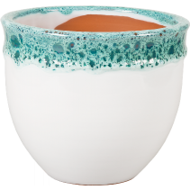 САКСИЯ БЕЛА БЯЛО-ЗЕЛЕНА 20/17