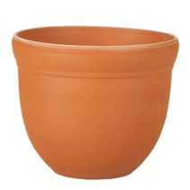 САКСИЯ ГАЛА НАТУРАЛНА 14/12