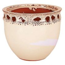 САКСИЯ БЕЛА ОХРА 20/17