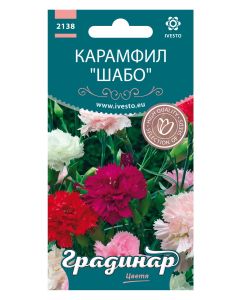 СЕМЕНА ГРАДИНАР ЦВЕТЯ КАРАМФИЛ ШАБО