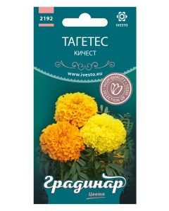 СЕМЕНА ГРАДИНАР ЦВЕТЯ ТАГЕТИС КИЧЕСТ