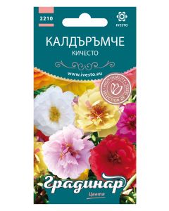 СЕМЕНА ГРАДИНАР ЦВЕТЯ КАЛДЪРЪМЧЕ КИЧ.