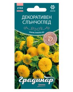 СЕМЕНА ГРАДИНАР ЦВЕТЯ СЛЪНЧОГЛЕД НИСЪК