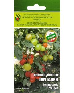 СЕМЕНА ИЗК МАРИЦА ДОМАТИ ПАУТАЛИЯ
