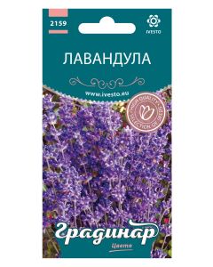 СЕМЕНА ГРАДИНАР ЦВЕТЯ ЛАВАНДУЛА