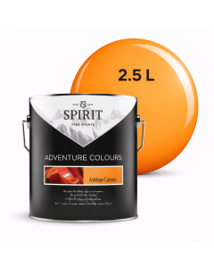 БОЯ ИНТЕРИОРНА SPIRIT ANTELOPE CANYON, 2.5Л
