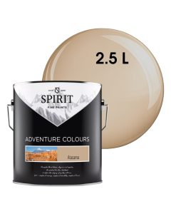 БОЯ ИНТЕРИОРНА SPIRIT ATACAMA 2.5Л