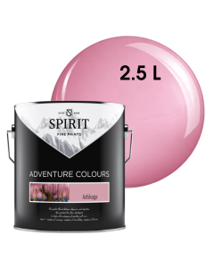 БОЯ ИНТЕРИОРНА SPIRIT ASHIKAGA 2.5Л