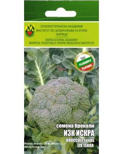 СЕМЕНА ИЗК МАРИЦА БРОКОЛИ ИЗК ИСКРА