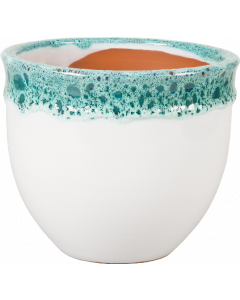 САКСИЯ БЕЛА БЯЛО-ЗЕЛЕНА 20/17