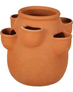 САКСИЯ ЯГОДА 6 ОТВОРА Н32