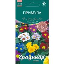 СЕМЕНА ГРАДИНАР ЦВЕТЯ ПРИМУЛА МИКС