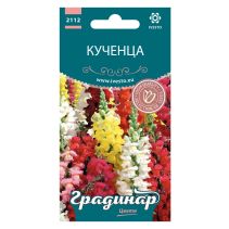 СЕМЕНА ГРАДИНАР ЦВЕТЯ КУЧЕНЦА НИСКИ