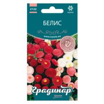 СЕМЕНА ГРАДИНАР ЦВЕТЯ БЕЛИС
