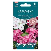 СЕМЕНА ГРАДИНАР ЦВЕТЯ КАРАМФИЛ ТОП