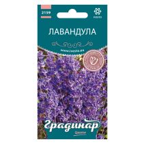 СЕМЕНА ГРАДИНАР ЦВЕТЯ ЛАВАНДУЛА