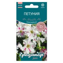 СЕМЕНА ГРАДИНАР ЦВЕТЯ ПЕТУНИЯ ВЛАЧЕЩА