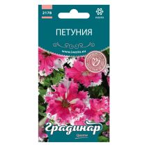 СЕМЕНА ГРАДИНАР ЦВЕТЯ ПЕТУНИЯ КИЧЕСТА